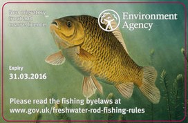 New Style Fishing Licence