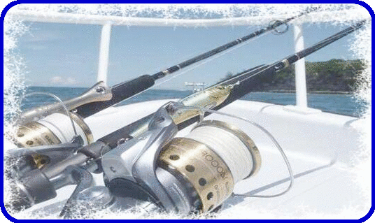 https://www.lessons4all.co.uk/wp-content/uploads/shimano-rods.gif